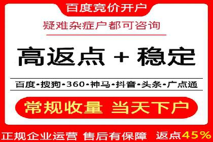 百度竞价SEM策略解析：某品牌广告成功的关键因素
